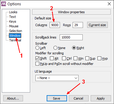 Git Bash Option Window